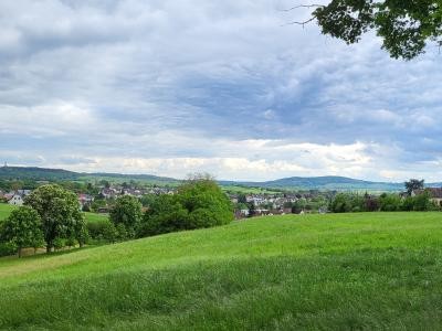 Blick vom PZN-Park Richtung Letzenberg.