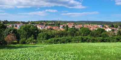 Blick auf Altwiesloch.