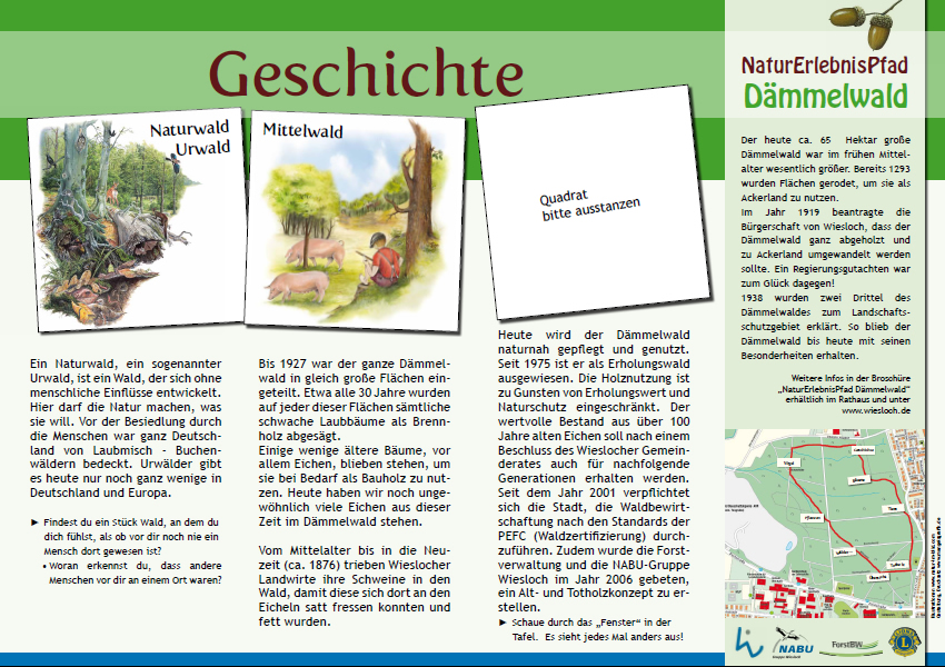 wald5_geschichte