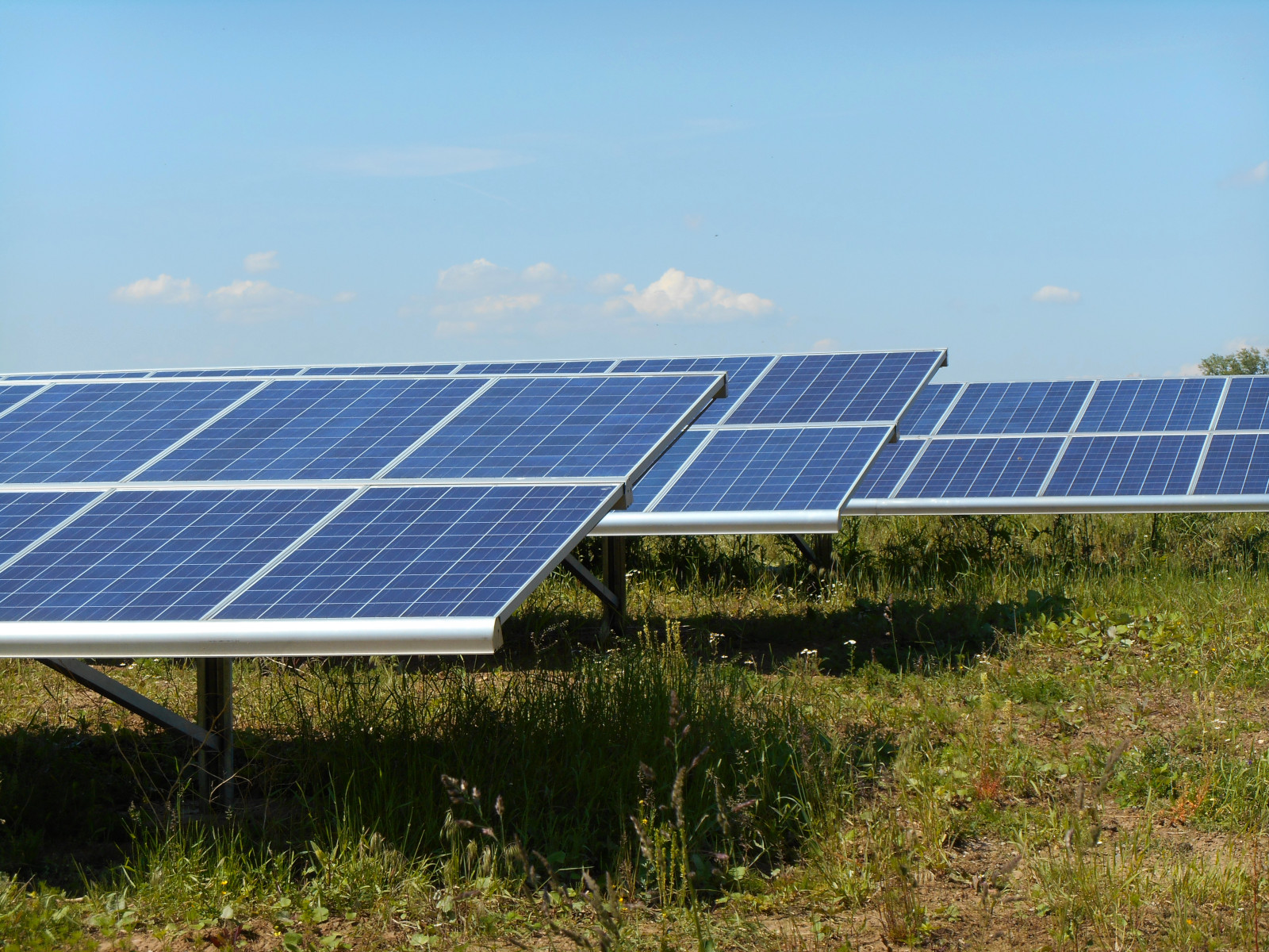 Solarmodule einer Freiflächen-PV-Anlage Nähe Frauenweiler.