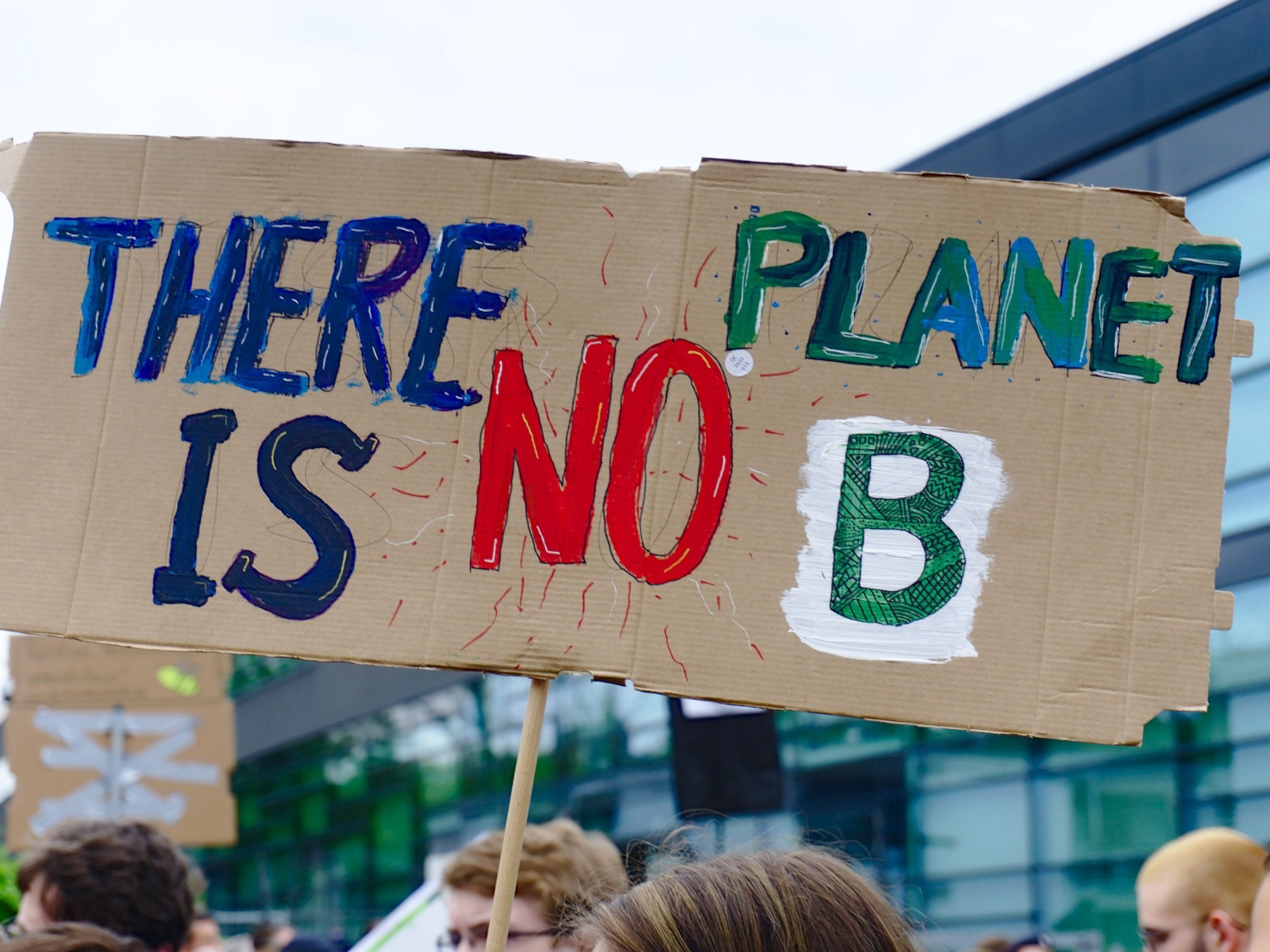 Demonstrationsschild mit Aufschrift "There is no planet B".