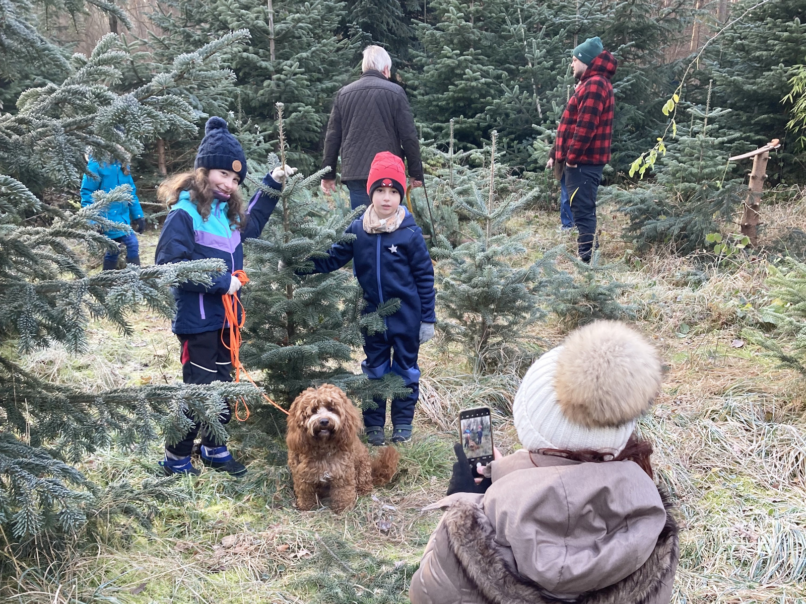 Kinder lassen sich neben ihrem neuen Christbaum fotografieren. 