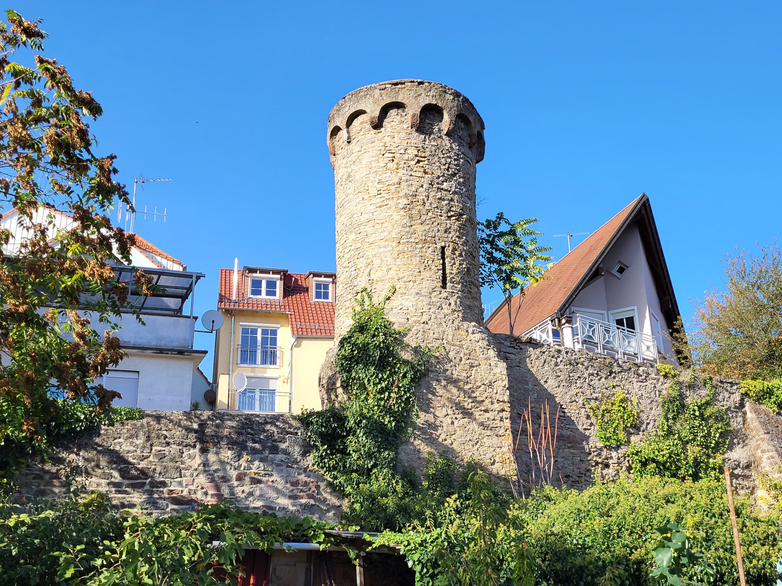 Sauermillichhaffe mit historischer Stadtmauer.