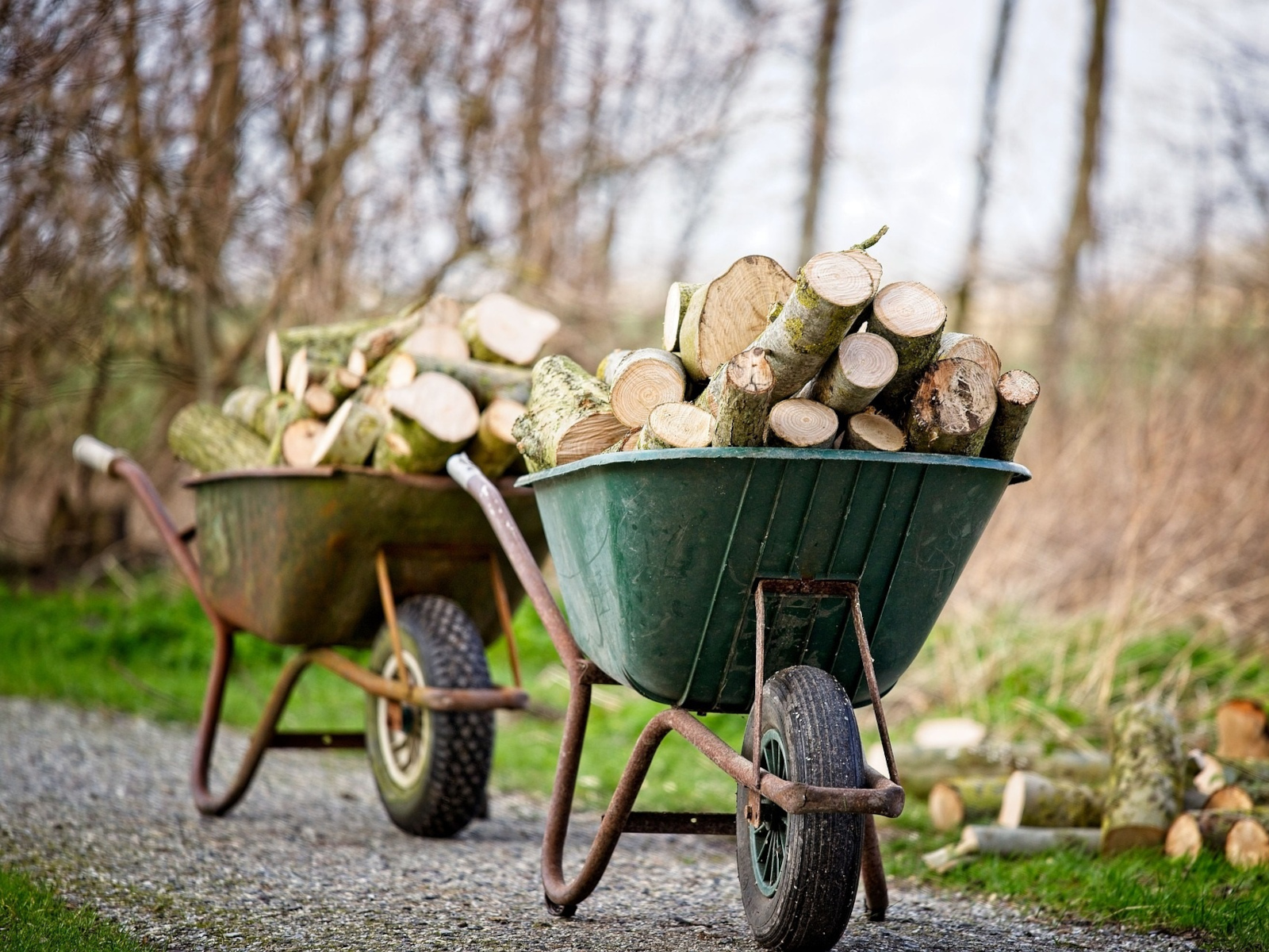 Schubkarren gefüllt mit Holzstücken.